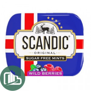 SCANDIC конфеты Лесные ягоды  14г 1/12 (18)