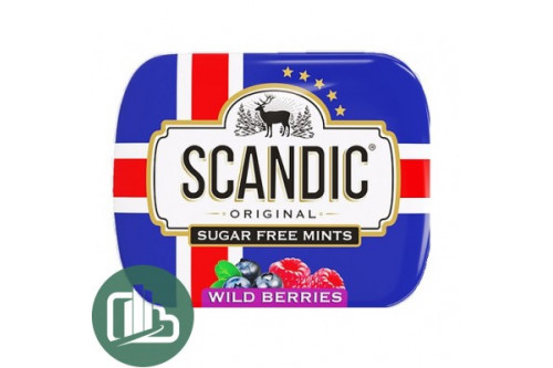 SCANDIC конфеты Лесные ягоды 14г 1/12 (18) SCANDIC конфеты Лесные ягоды 14г 1/12 (18)